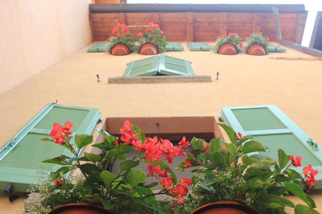 Appartement Casa Mia *